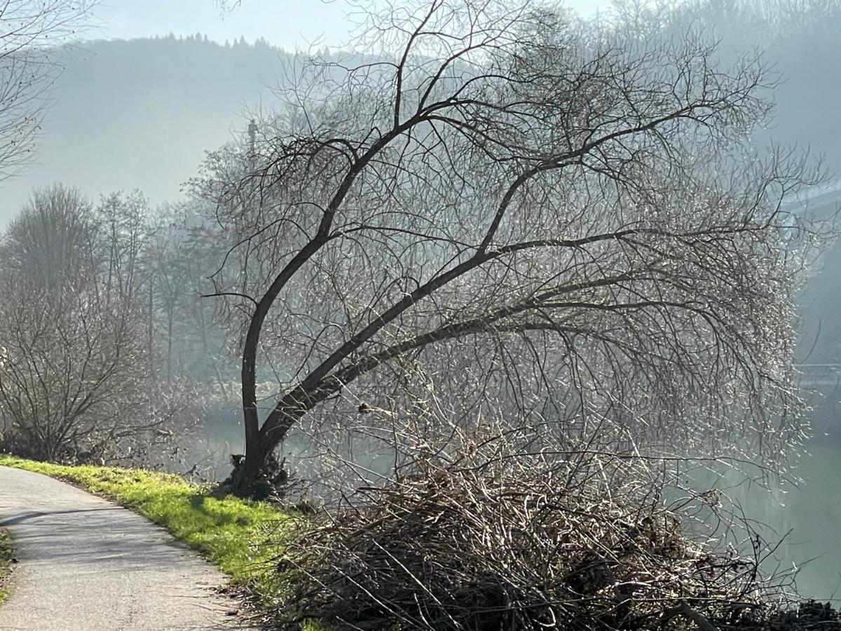 Ferienwohnung Bei Bad Ems Im Lahntal Fachbach Екстер'єр фото